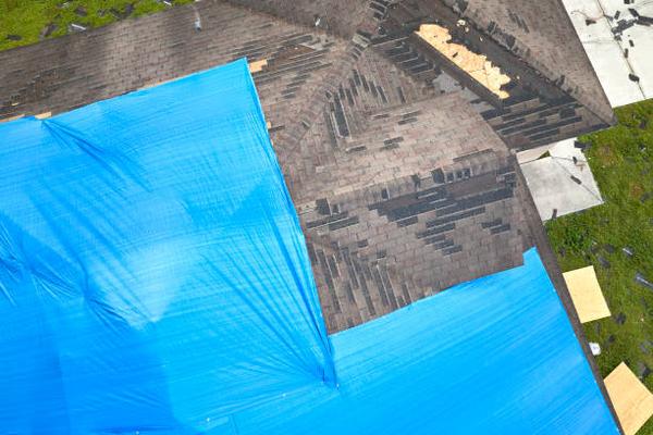 Sustainability in Roofing: The Environmental Benefits of Plastic Roofing Sheets