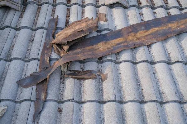 Brighton Homeowners’ Checklist for a Successful Roof Replacement