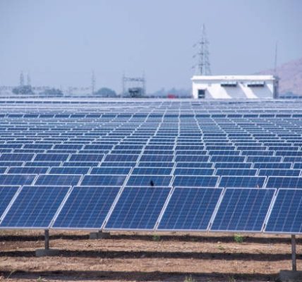 Why Choose Professional Solar Companies in Pleasanton?