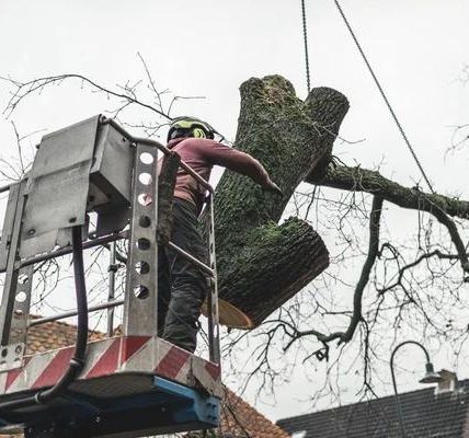 How a Structured Addiction Treatment Center Saves Lives