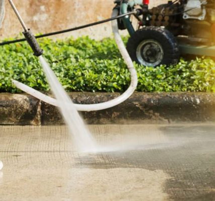 Trusted Listings & Top Services on Local Browsed Directory