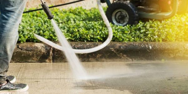 Trusted Listings & Top Services on Local Browsed Directory