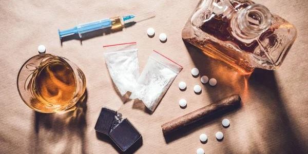 Eco-Friendly Tree Cutting Services You Can Trust